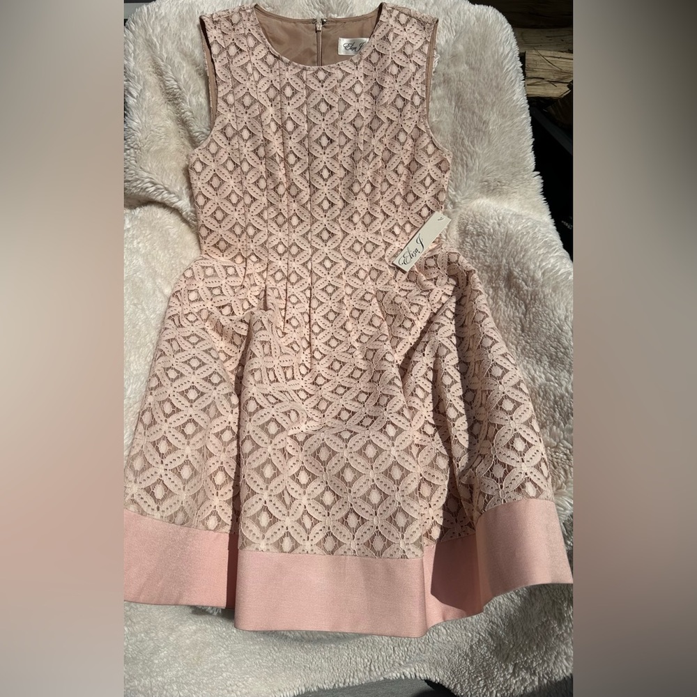 NWT Eliza J Pink Lace Pintuck Fit & Flare Dress with Pockets | Size 4
